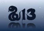 2013-Водната змия сменя Водния дракон